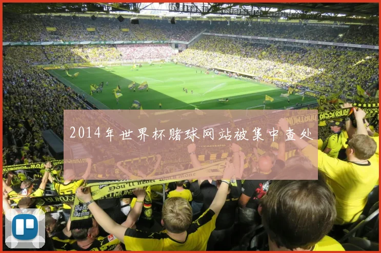 2014年世界杯赌球网站被集中查处